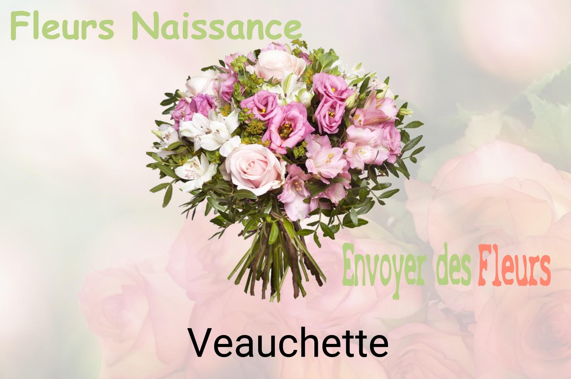 Bouquet de fleurs de naissance livré à Veauchette
